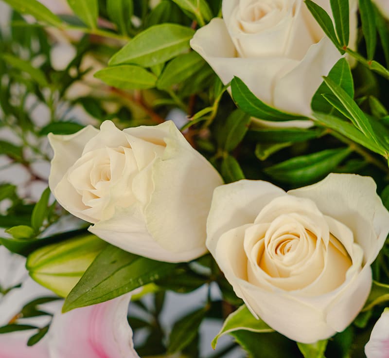 Classic Roses and Lilies 