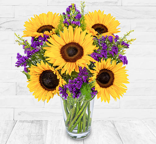 Sunflower Spectacular 