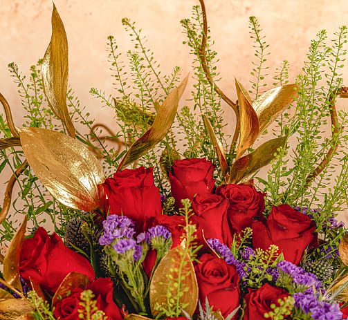 Potted Orchids by Post Free Next Day Delivery 123 Flowers