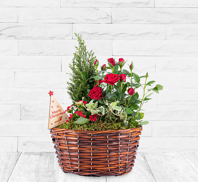 Classic Christmas Basket 123 Flowers